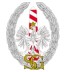 Obrazek dla: Nadodrzański Oddział Straży Granicznej prowadzi nabór kandydatów do służby w Straży Granicznej